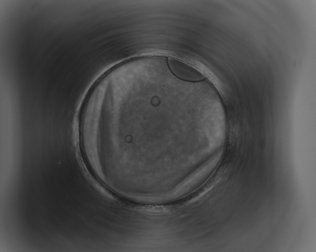 X0000100891092200807151052