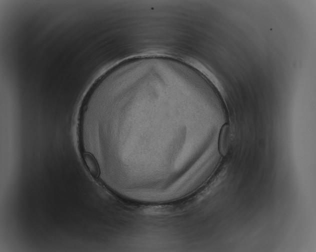 X0000100891093200807151052