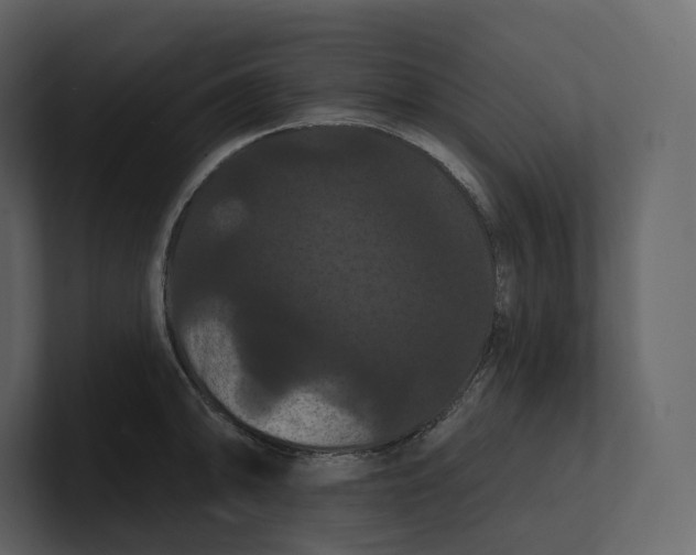 X0000100891094200807151052