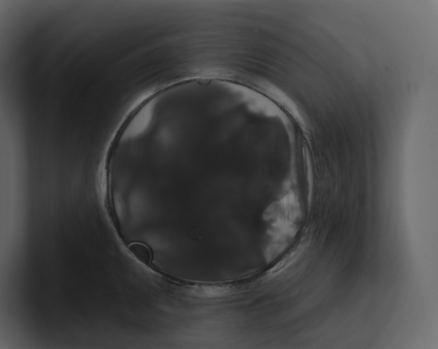 X0000100891095200807151052