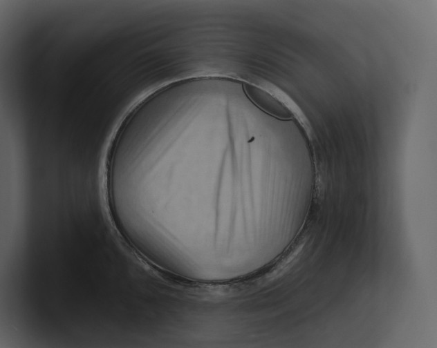 X0000100891096200807151052