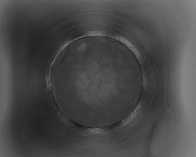 X0000100891097200807151052