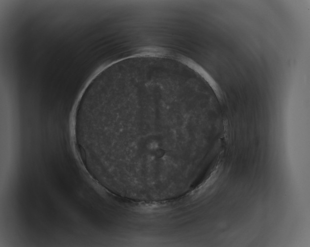 X0000100891099200807151052