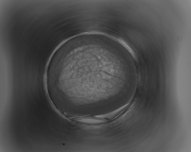 X0000100891100200807151052