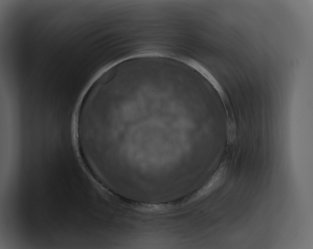 X0000100891101200807151052