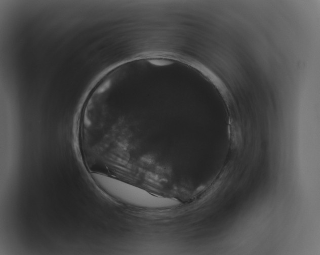 X0000100891102200807151052