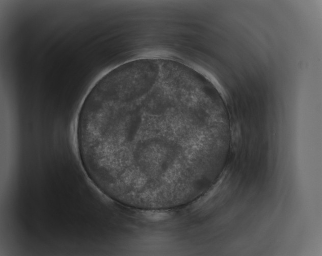 X0000100891103200807151052