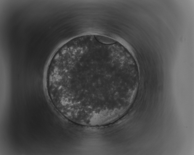 X0000100891104200807151052