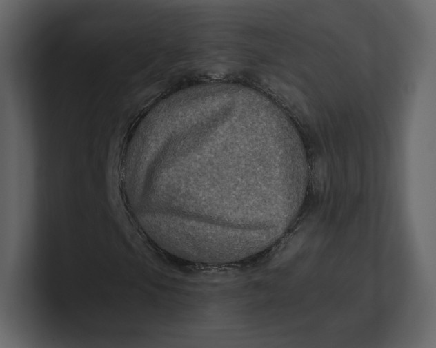 X0000100891105200807151051