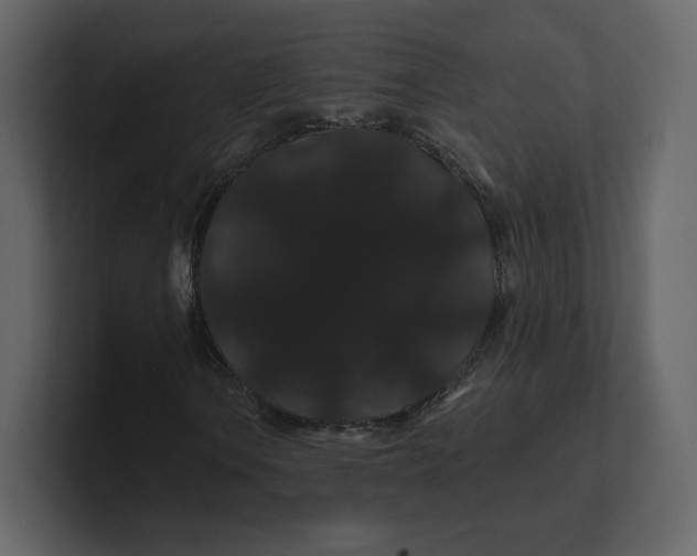 X0000100891106200807151051