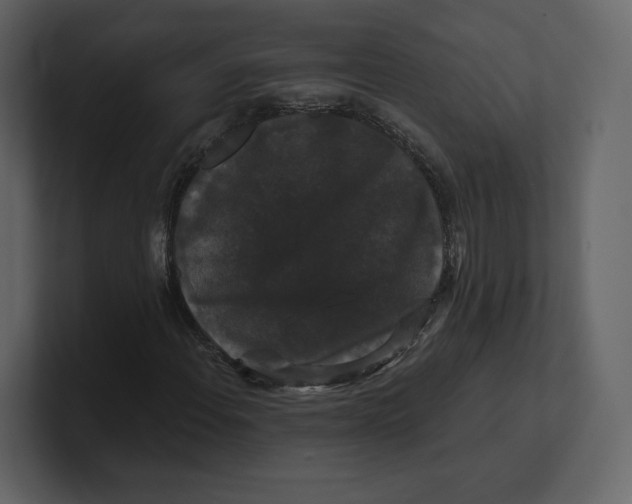 X0000100891108200807151051