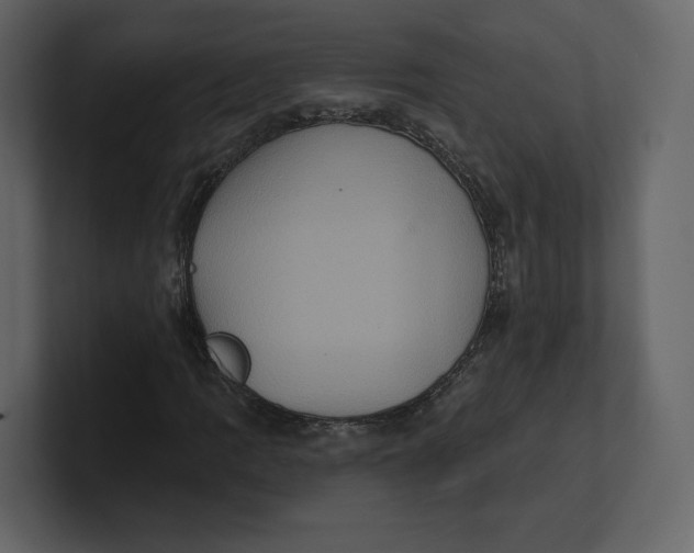 X0000100891109200807151051