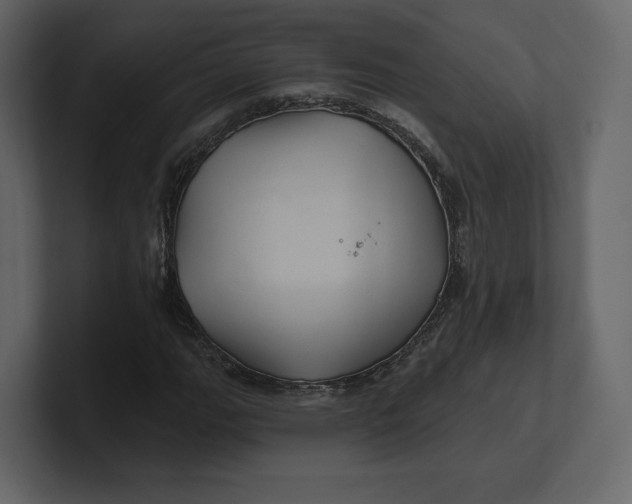 X0000100891111200807151051