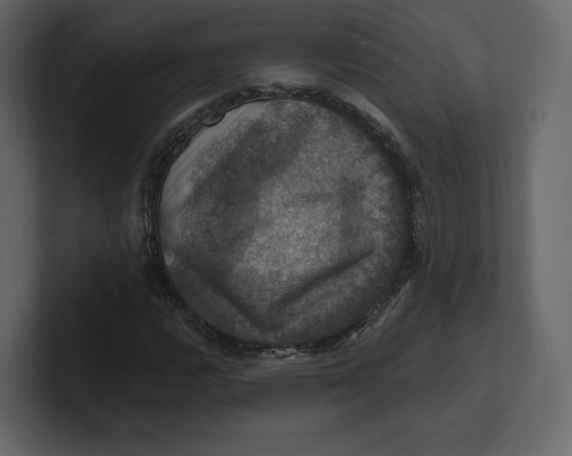 X0000100891112200807151051