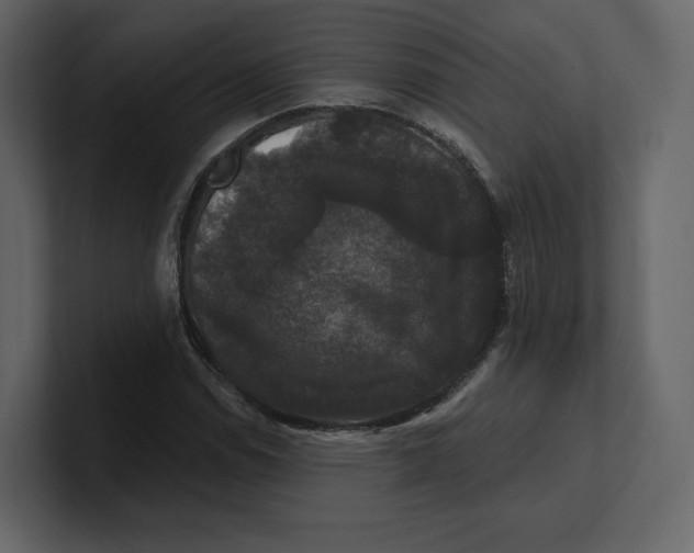 X0000100891114200807151051