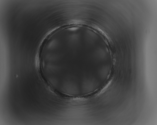 X0000100891117200807151051