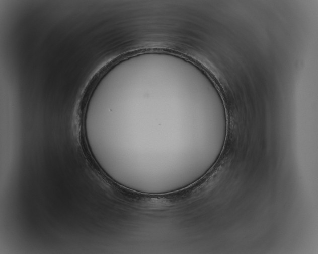 X0000100891119200807151051