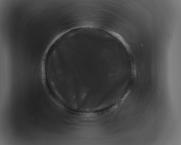 X0000100891120200807151051