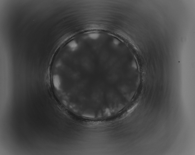 X0000100891121200807151051