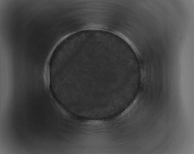 X0000100891123200807151051