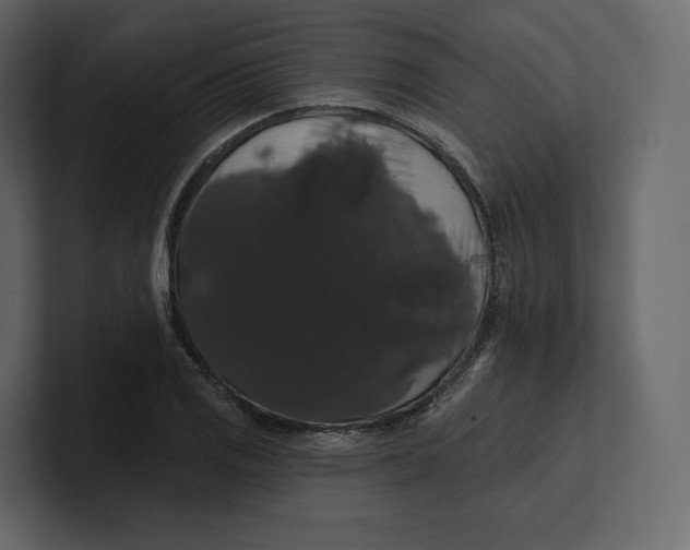 X0000100891125200807151051