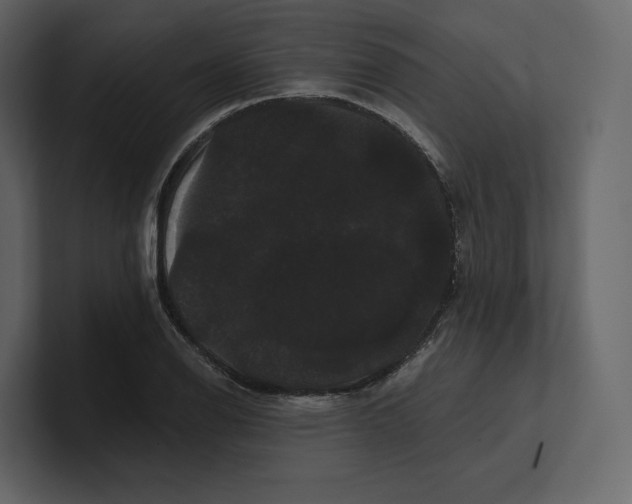 X0000100891126200807151051