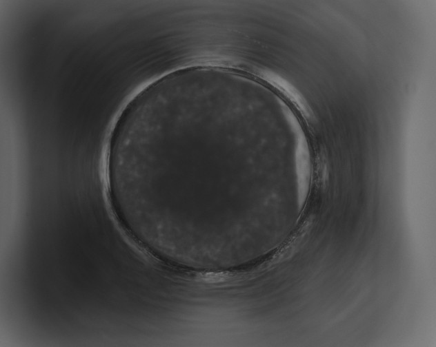 X0000100891128200807151051