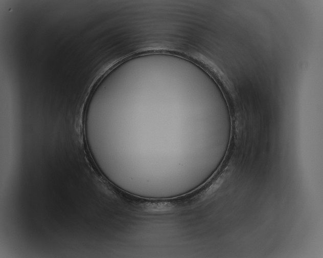 X0000100891129200807151051