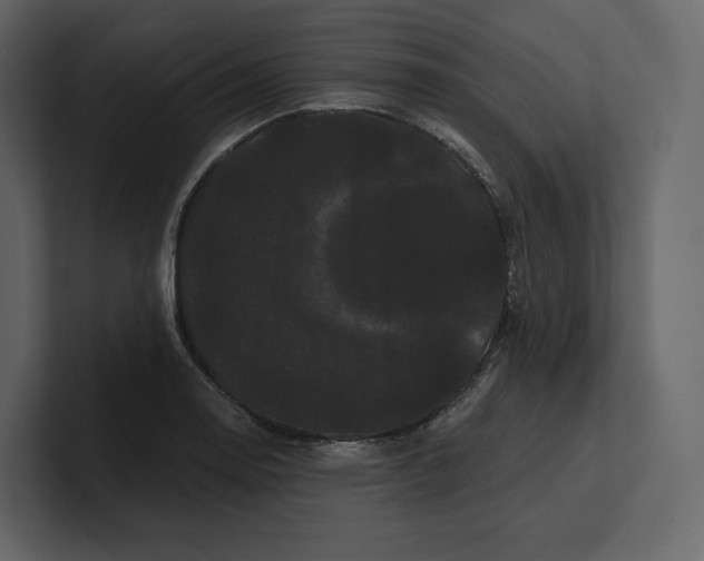 X0000100891130200807151051