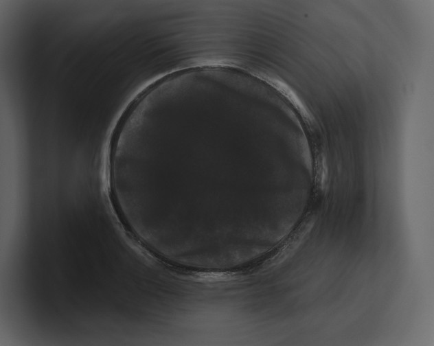 X0000100891132200807151051