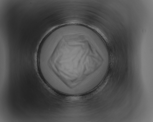 X0000100891134200807151051