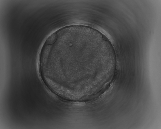 X0000100891136200807151052