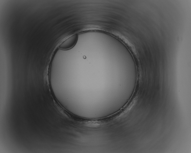 X0000100891137200807151052