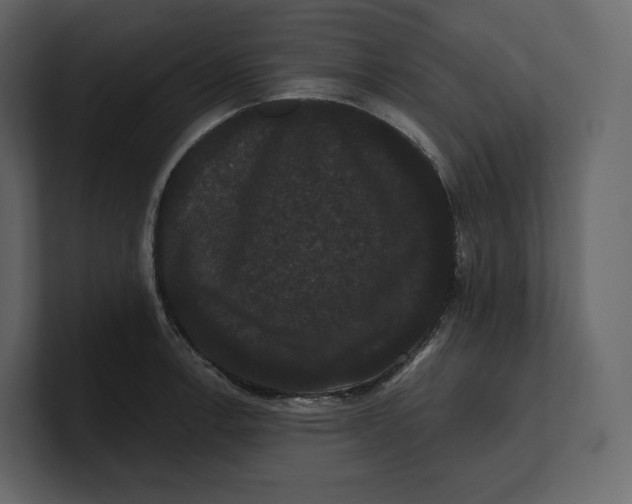 X0000100891138200807151052