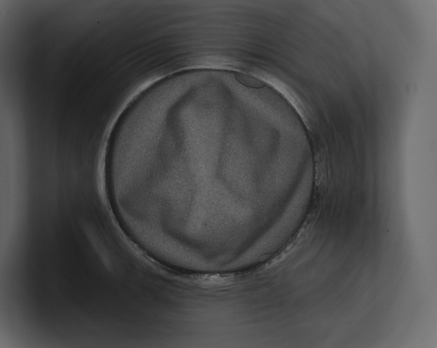 X0000100891139200807151052