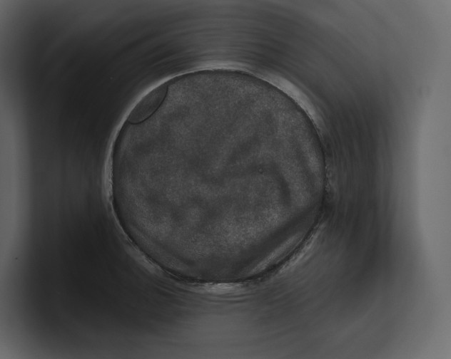 X0000100891140200807151052