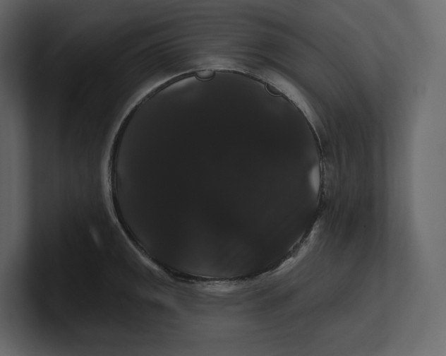 X0000100891141200807151052