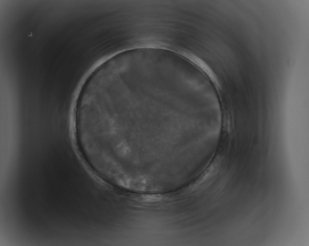 X0000100891144200807151052