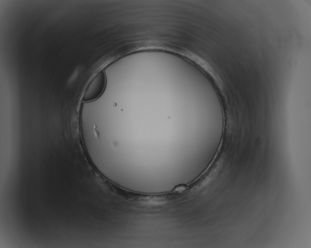 X0000100891145200807151052