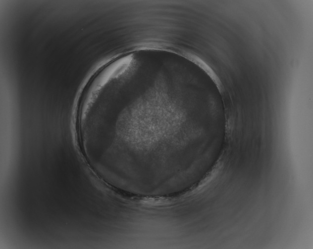 X0000100891146200807151052