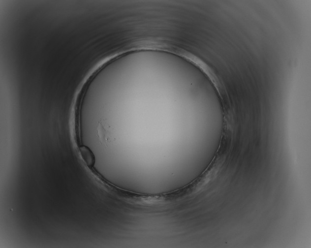 X0000100891147200807151052