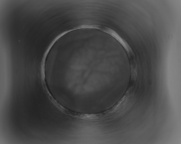 X0000100891148200807151052