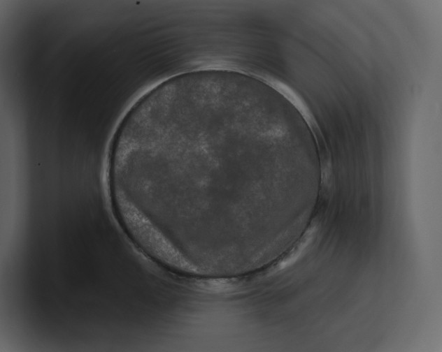 X0000100891149200807151052