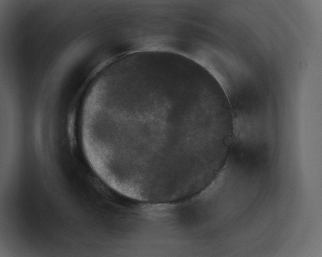 X0000100891150200807151052