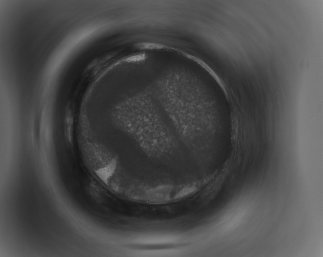 X0000100891151200807151052