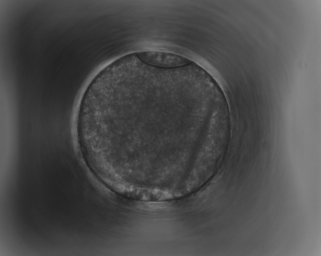 X0000100891152200807151052