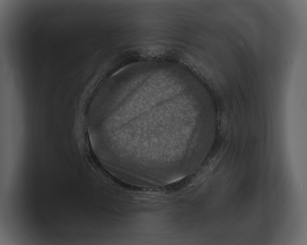 X0000100891153200807151051