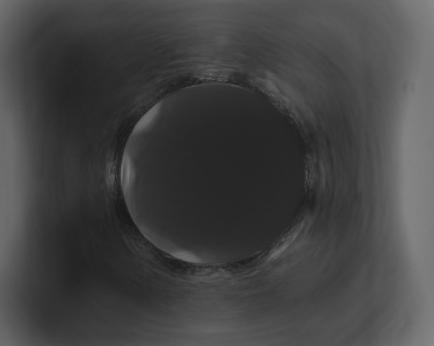 X0000100891154200807151051