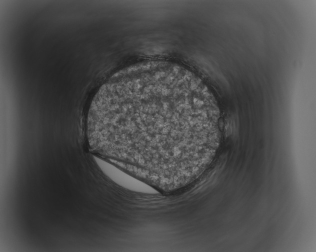 X0000100891156200807151051