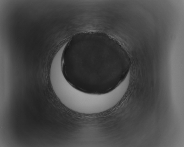 X0000100891157200807151051